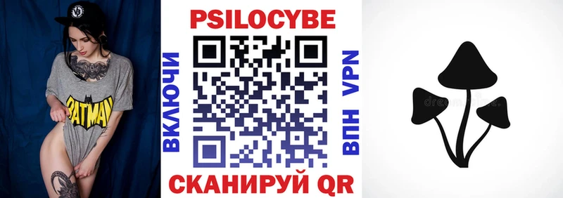 Псилоцибиновые грибы Cubensis  где продают наркотики  Павловск 